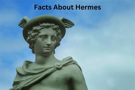 hermes information|Altro.